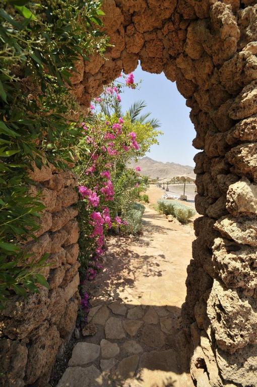 Helnan Taba Otel Dış mekan fotoğraf